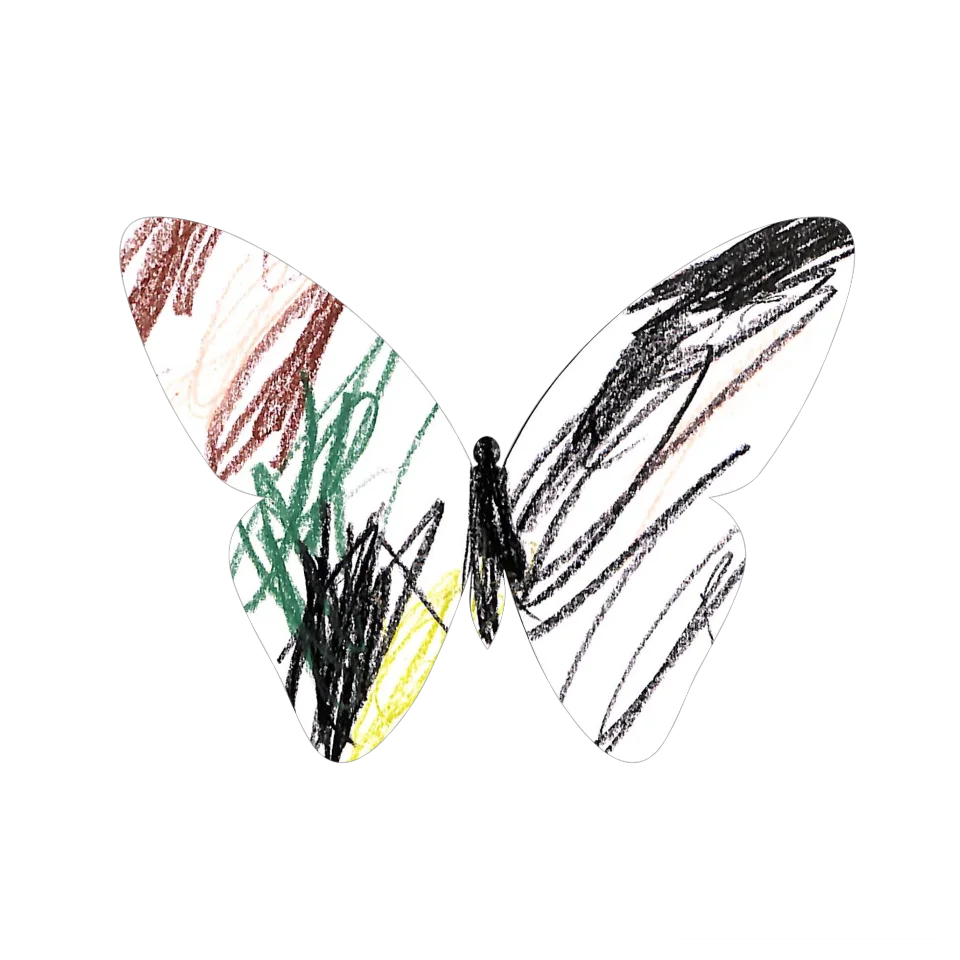 Original Butterfly Image