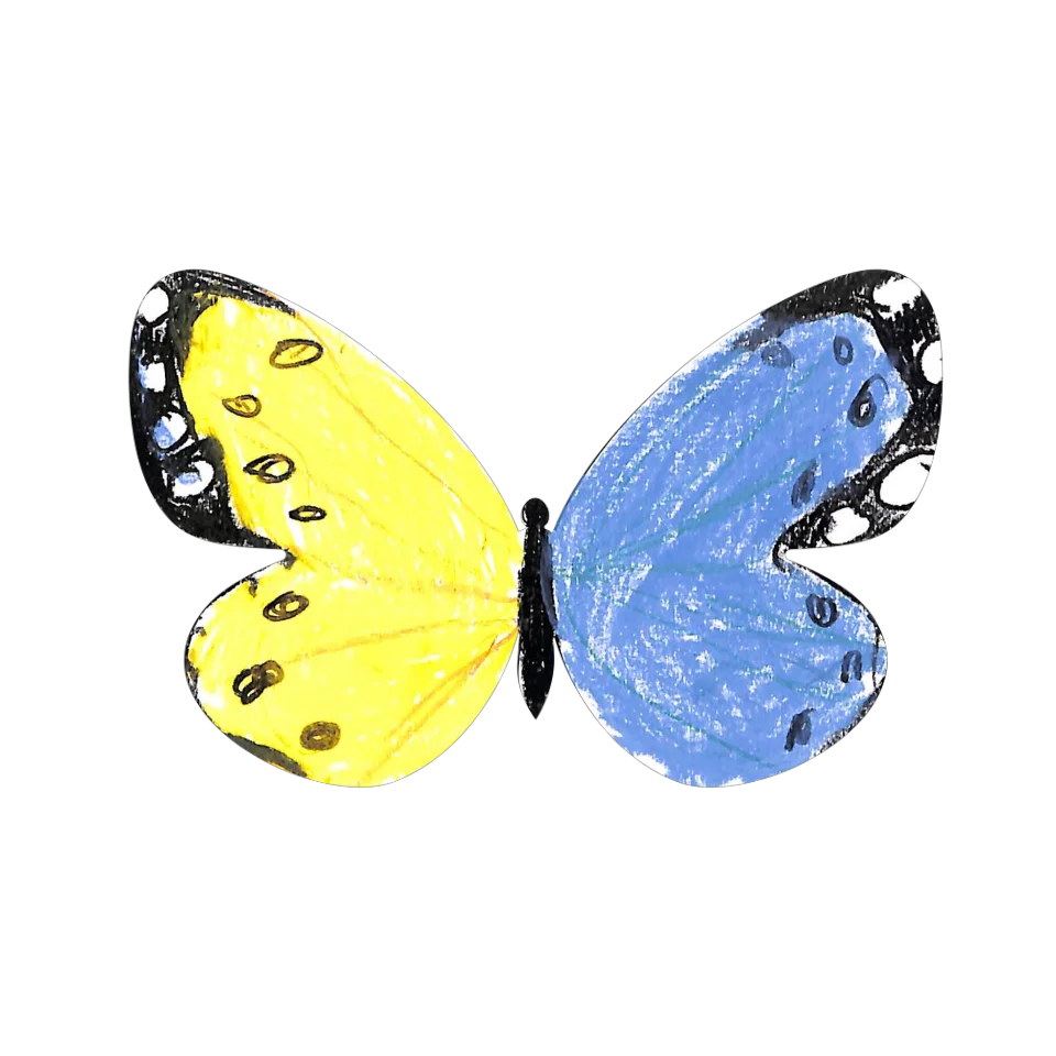 Original Butterfly Image