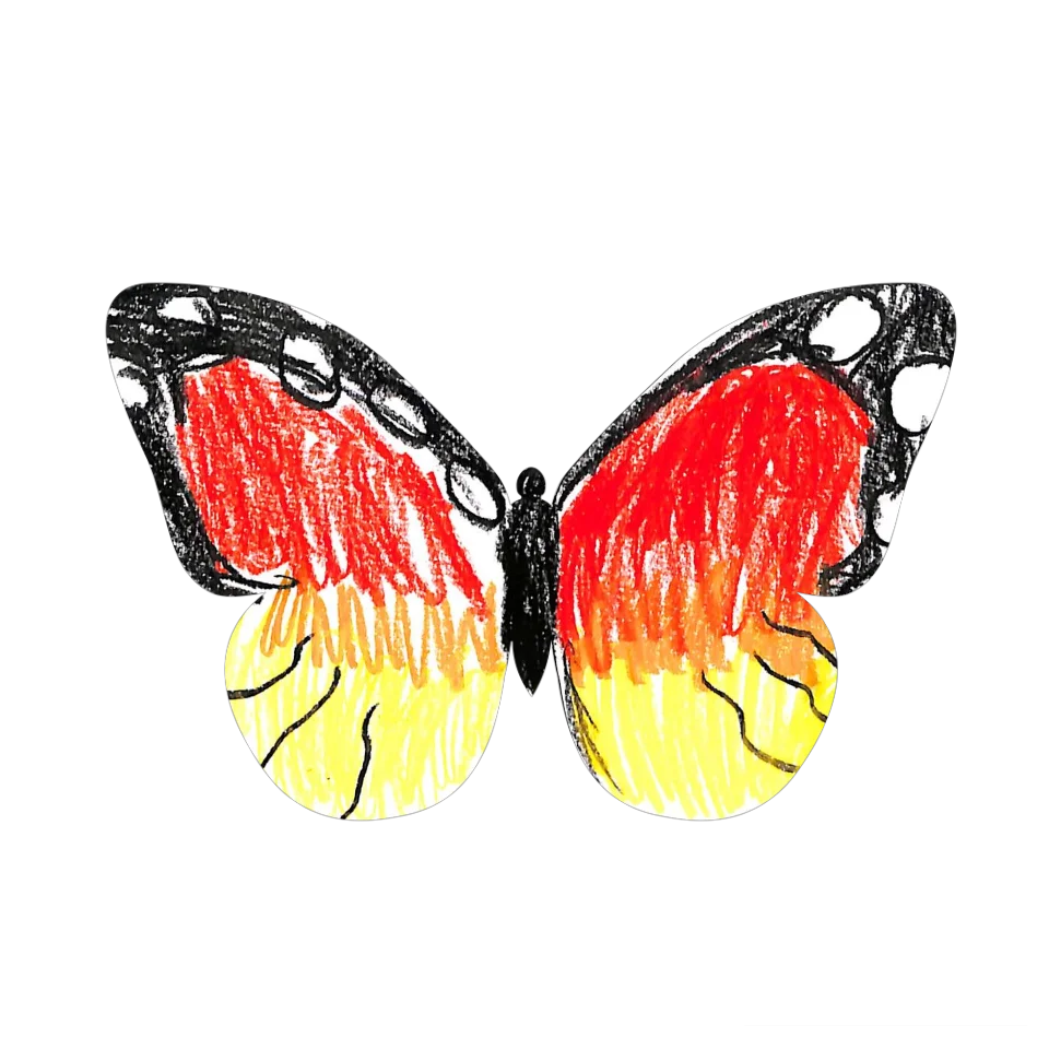 Original Butterfly Image