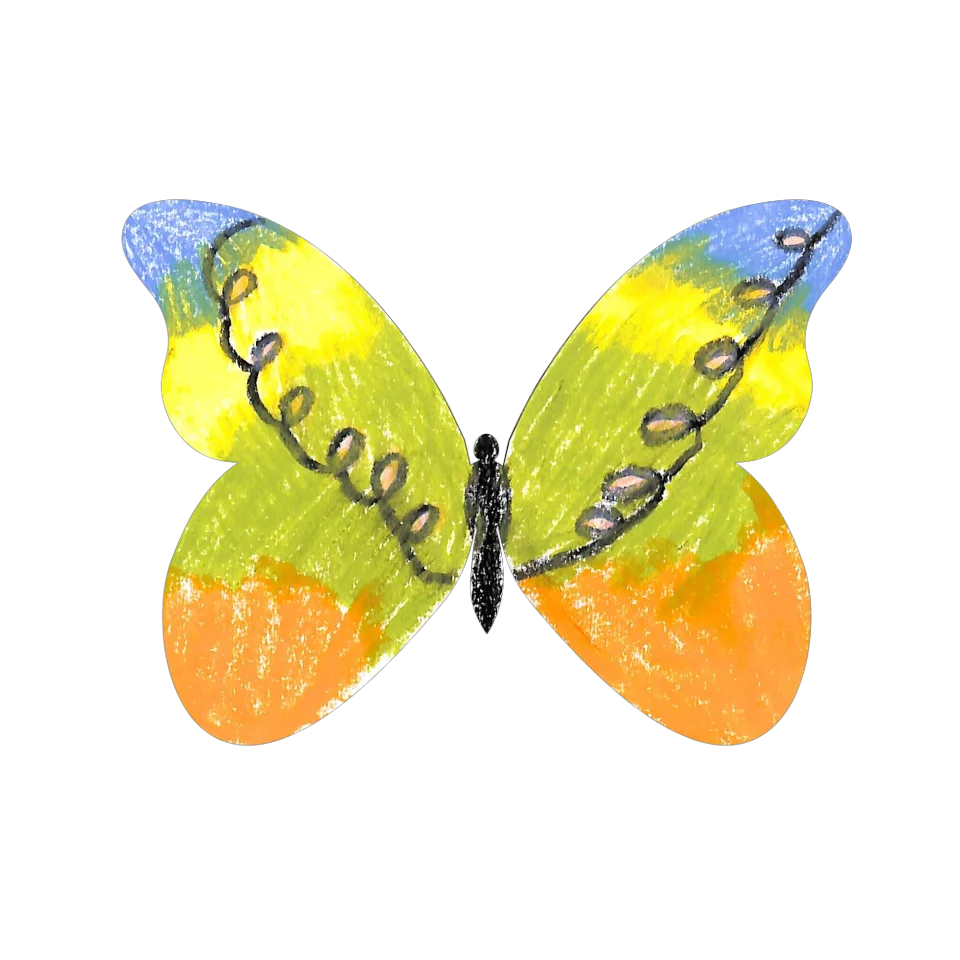Original Butterfly Image