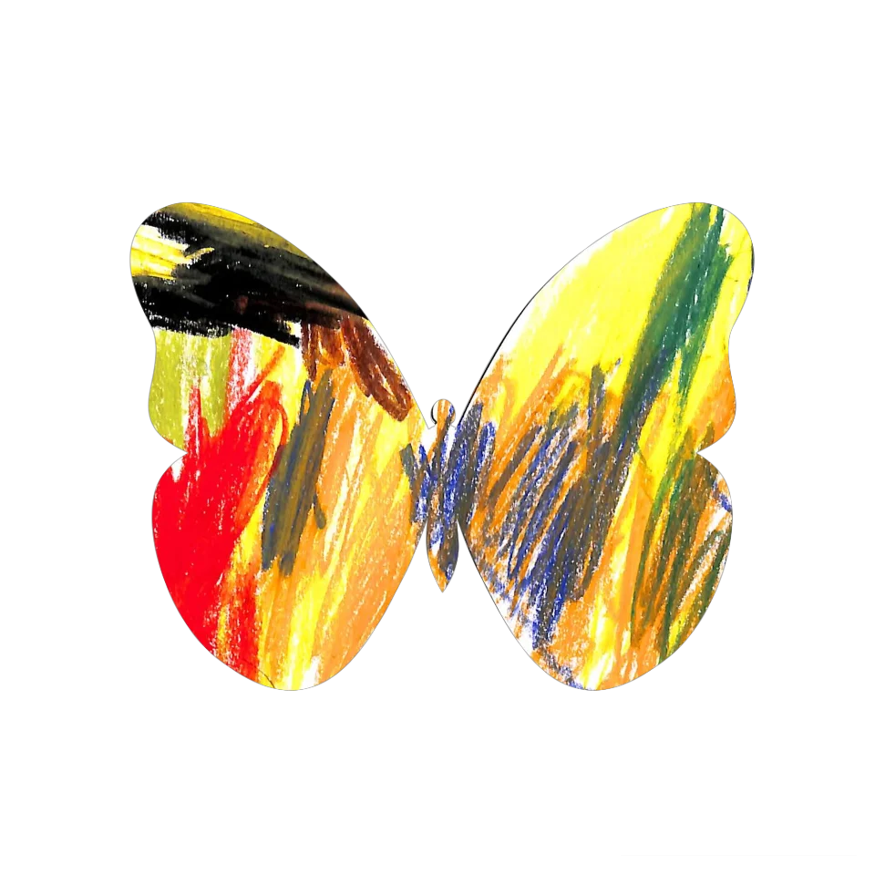 Original Butterfly Image