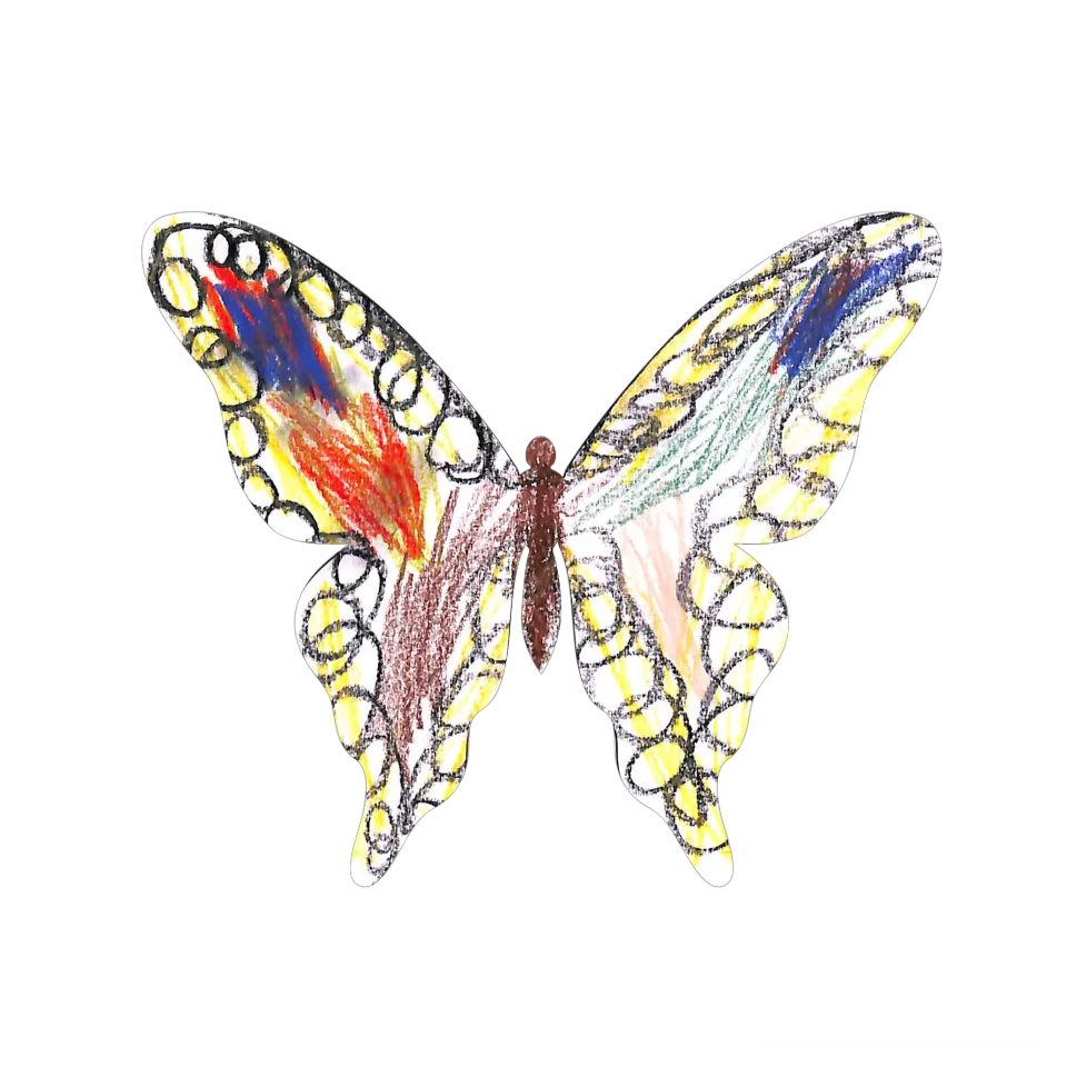 Original Butterfly Image