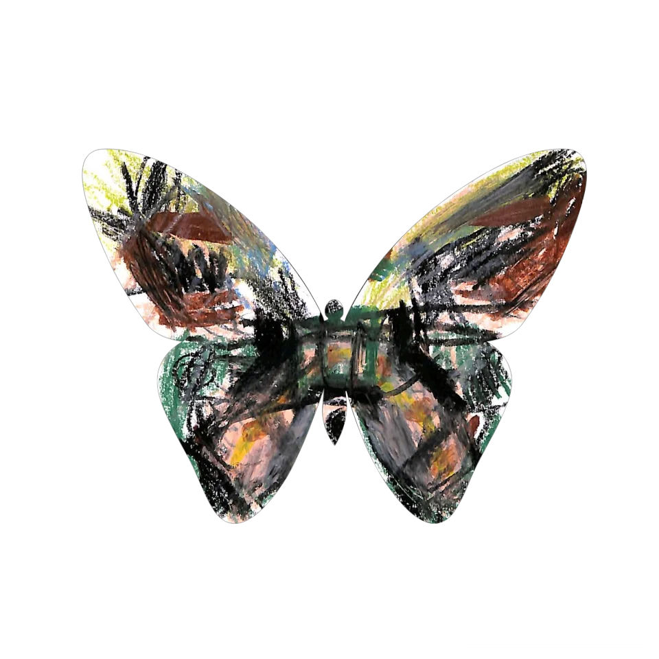 Original Butterfly Image