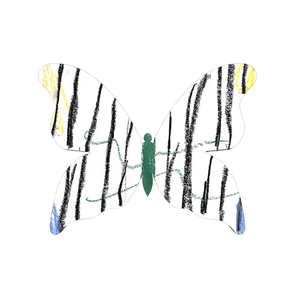 Original Butterfly Image