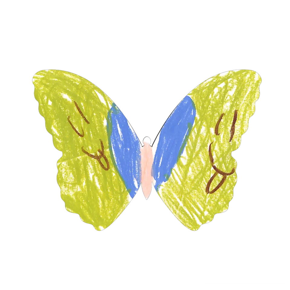 Original Butterfly Image