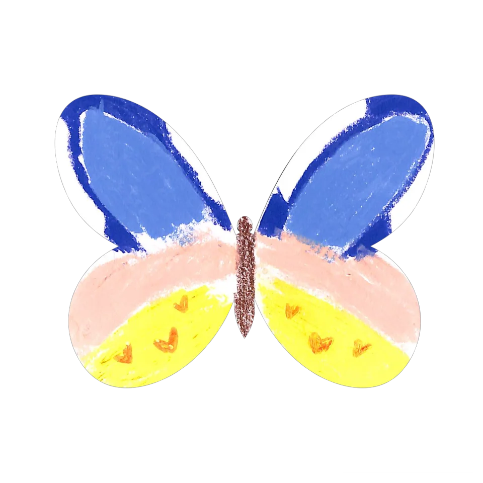 Original Butterfly Image