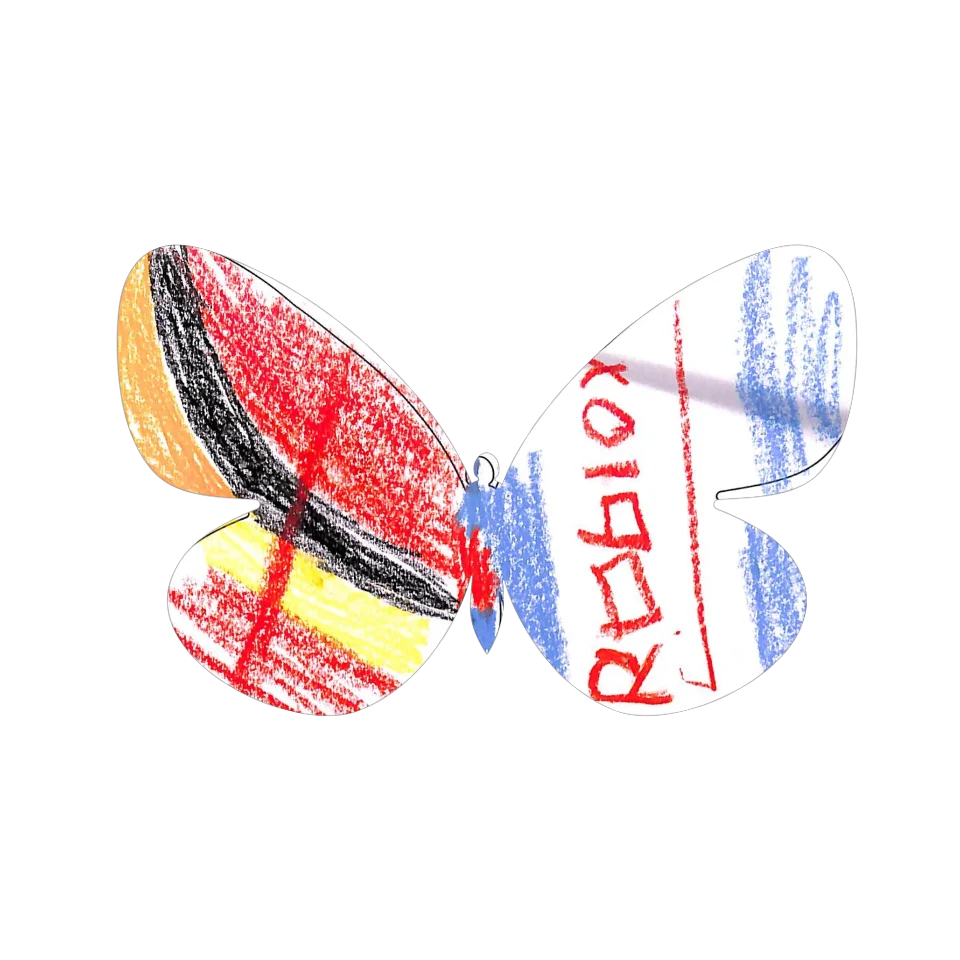 Original Butterfly Image