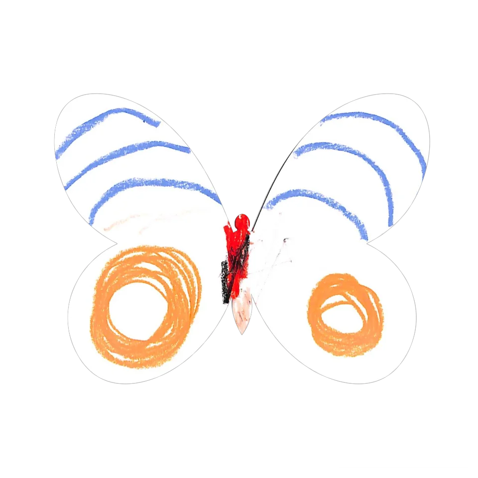 Original Butterfly Image