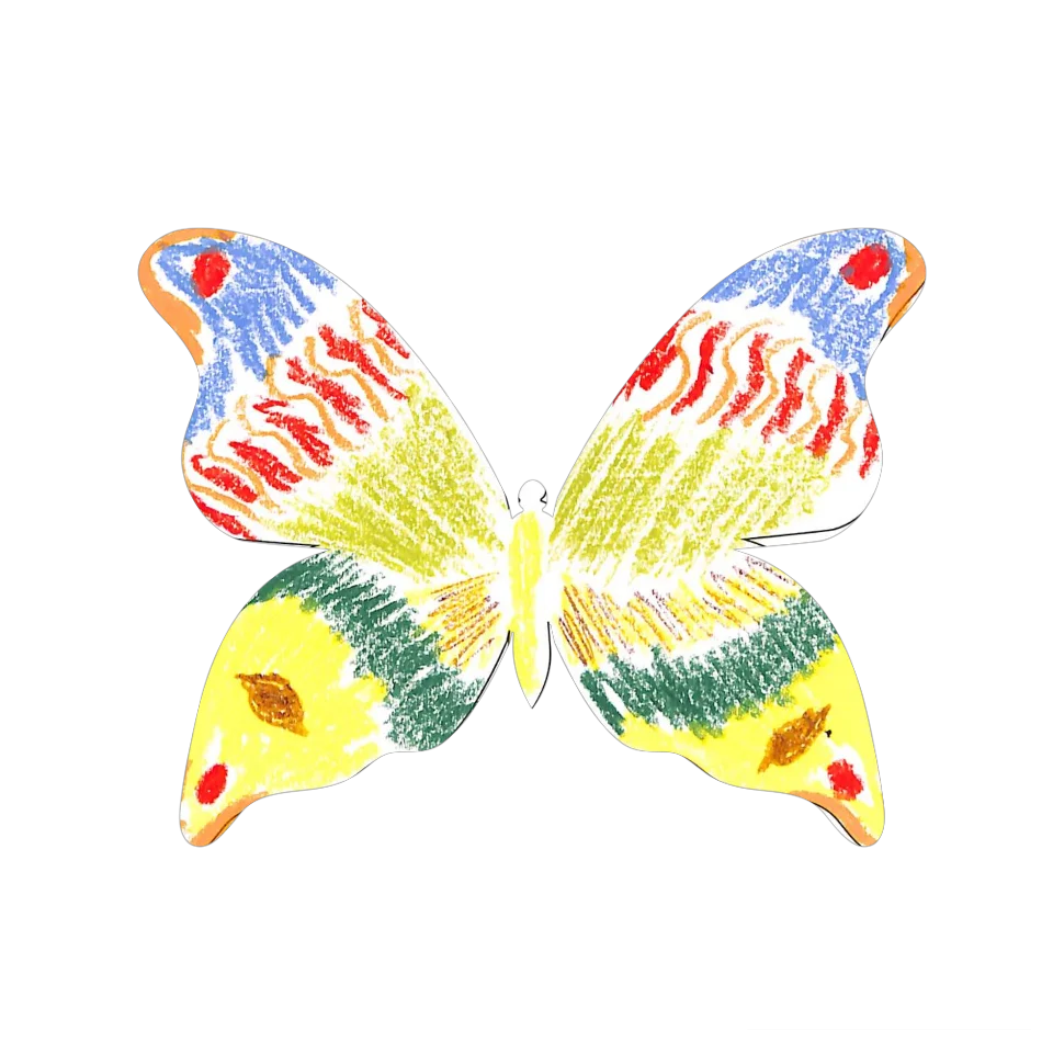 Original Butterfly Image