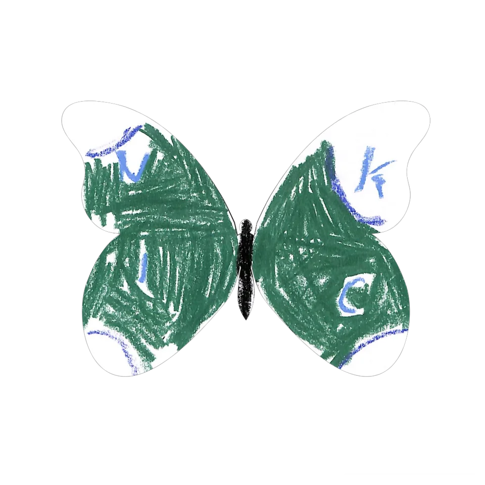 Original Butterfly Image