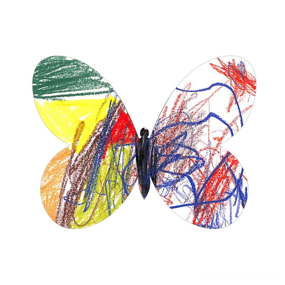 Original Butterfly Image