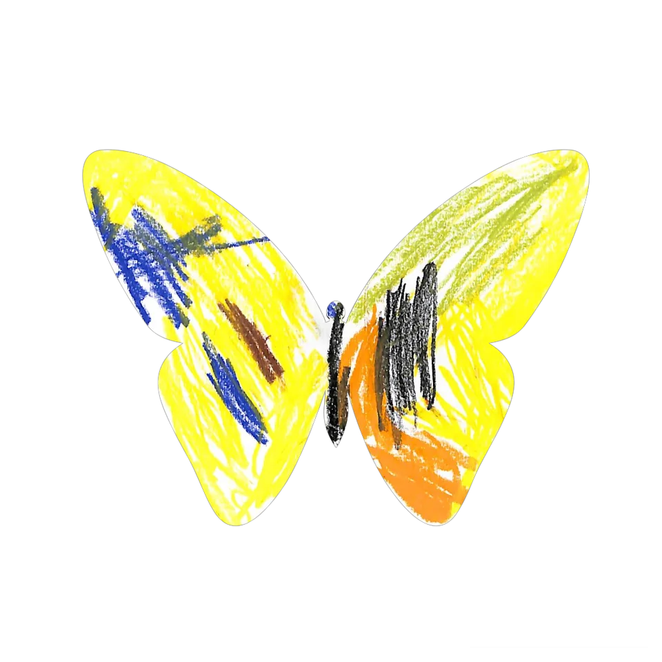 Original Butterfly Image