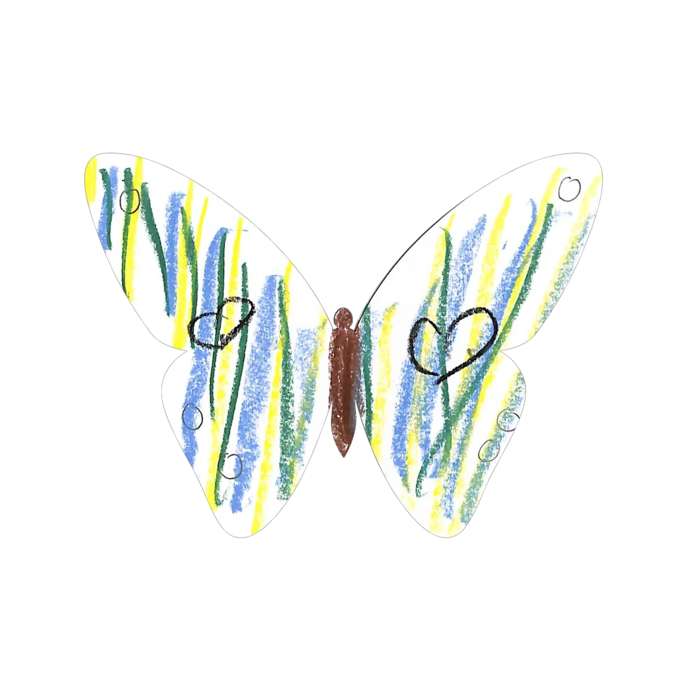 Original Butterfly Image