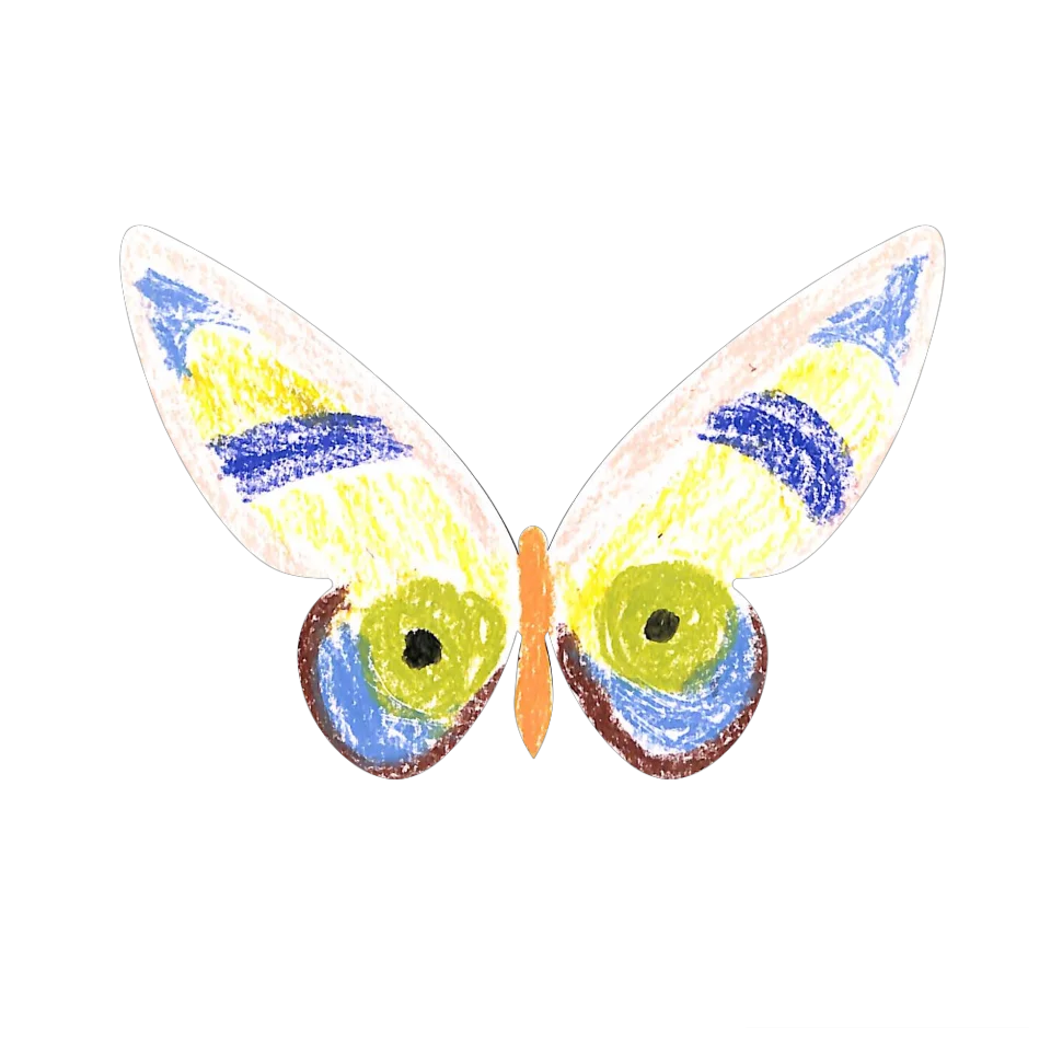 Original Butterfly Image