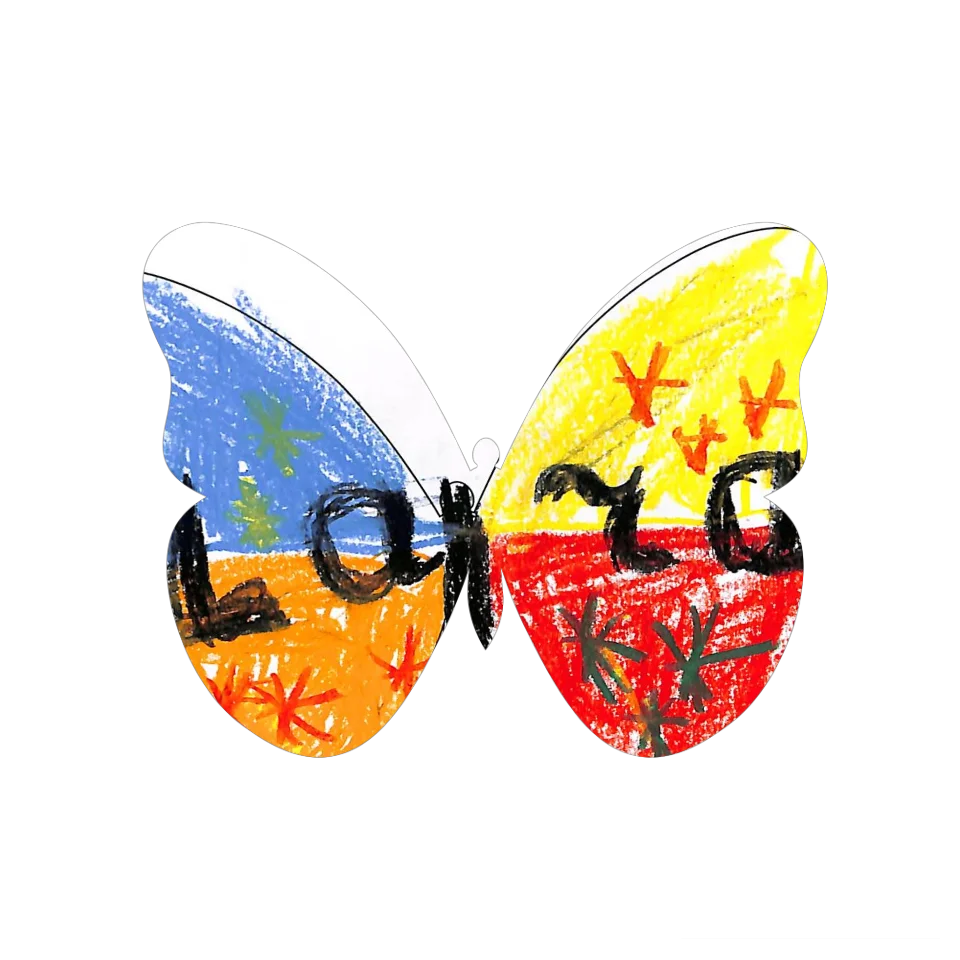 Original Butterfly Image