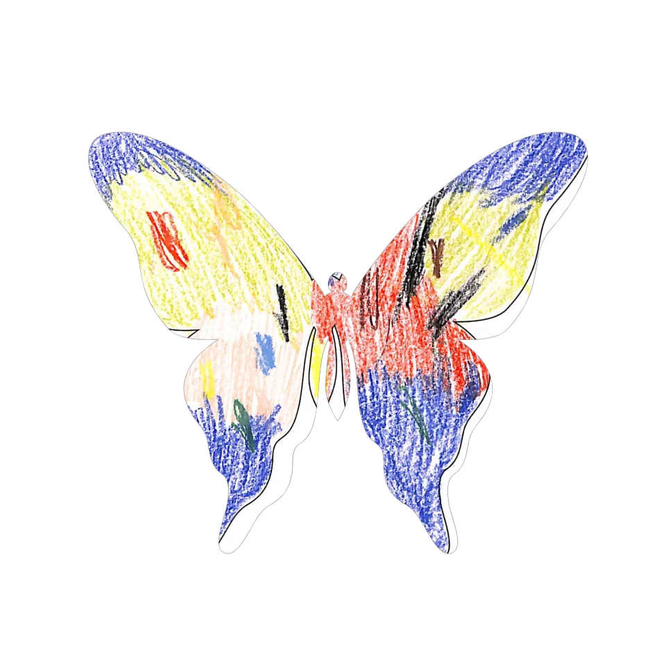 Original Butterfly Image