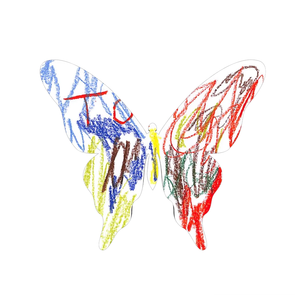 Original Butterfly Image
