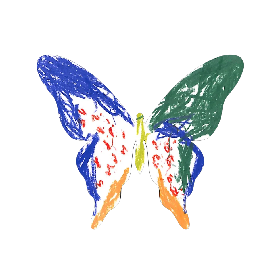Original Butterfly Image