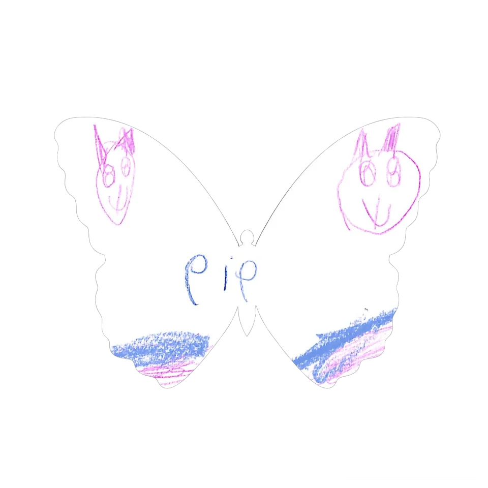 Original Butterfly Image
