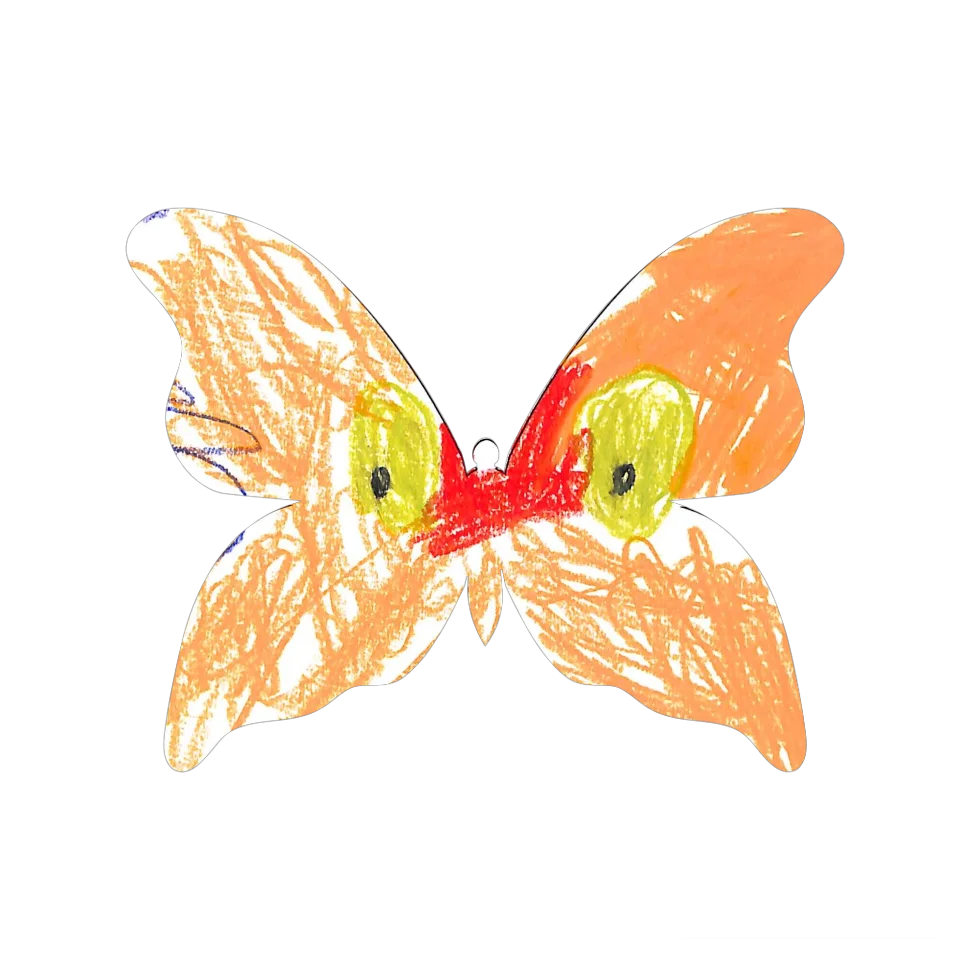 Original Butterfly Image