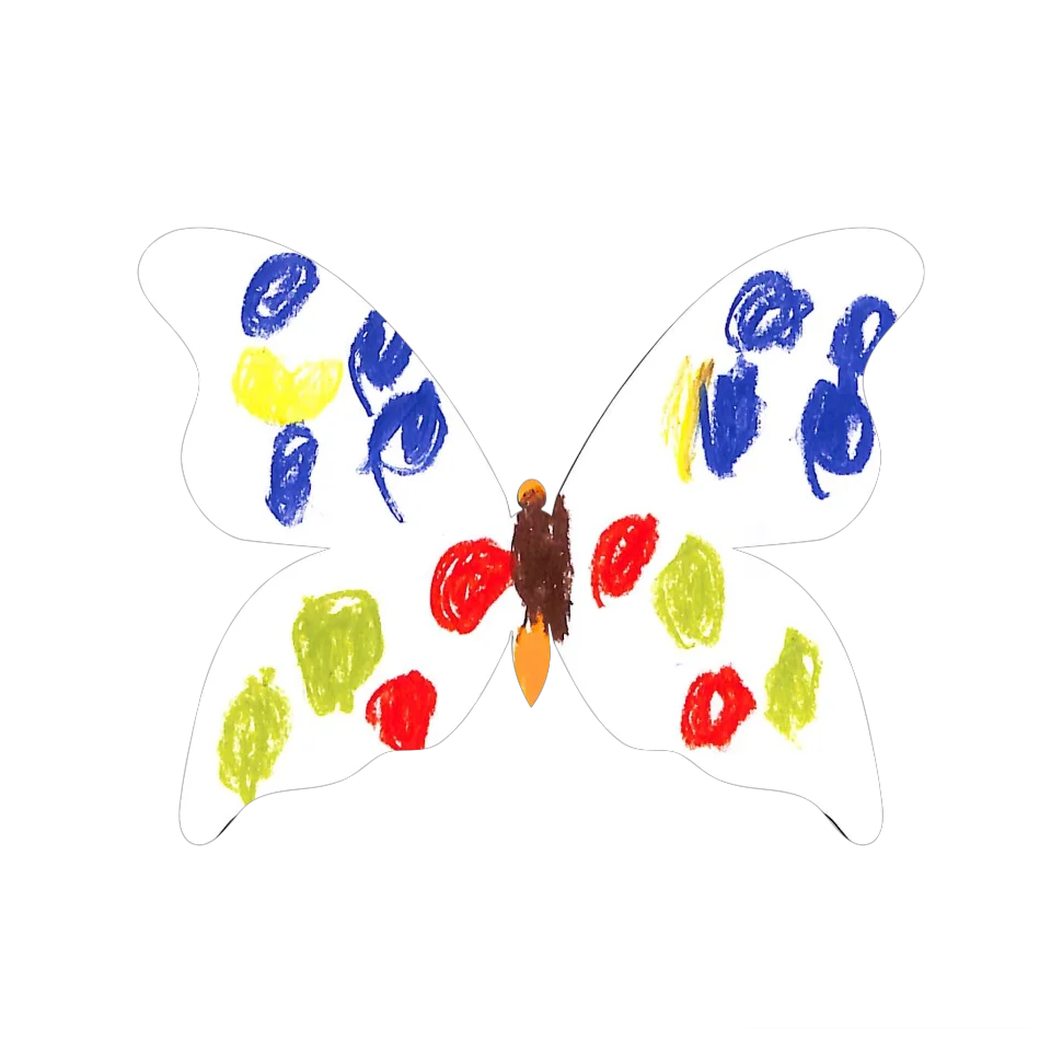 Original Butterfly Image