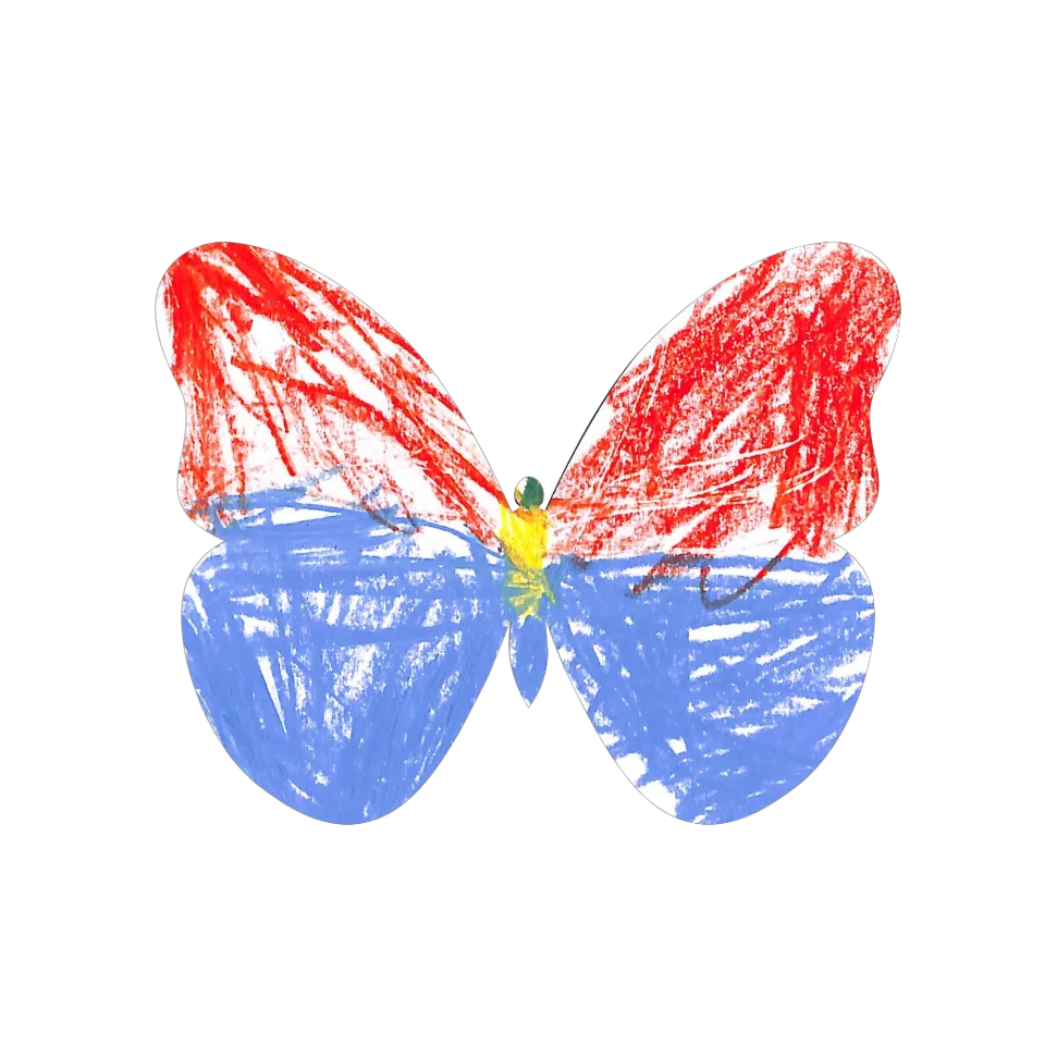 Original Butterfly Image