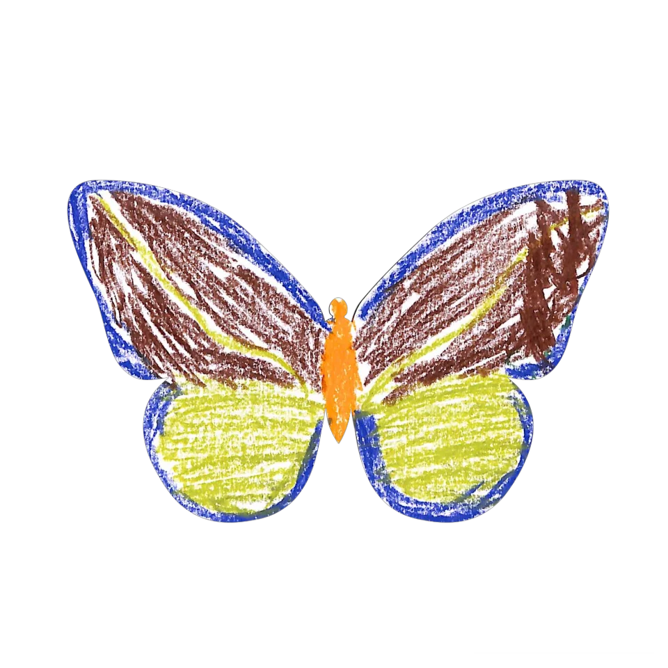 Original Butterfly Image