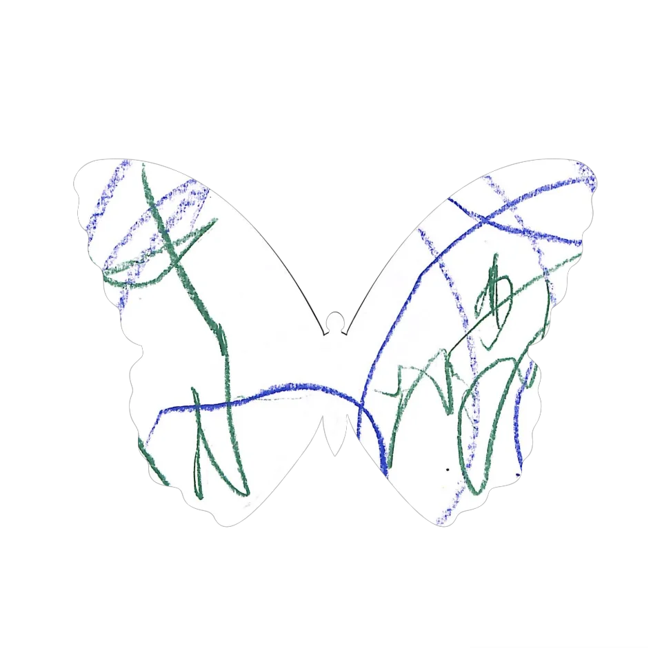 Original Butterfly Image