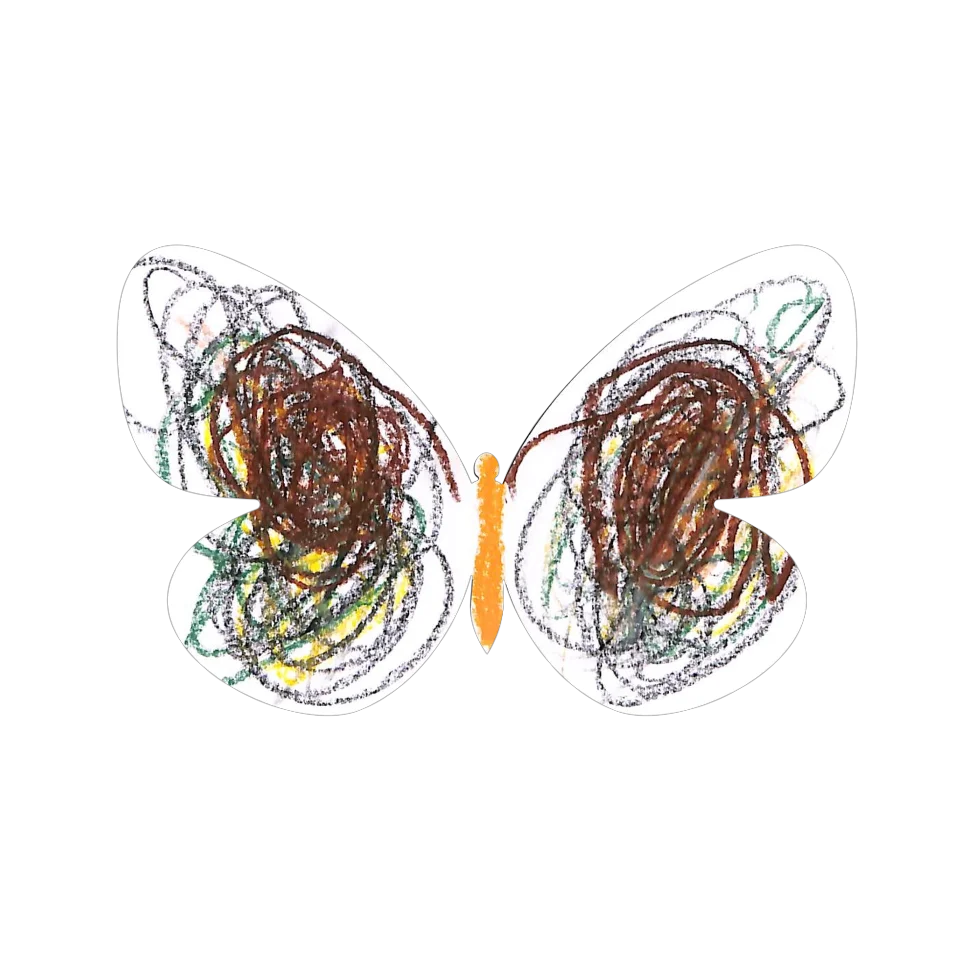 Original Butterfly Image