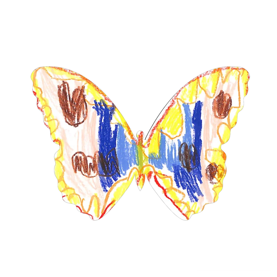 Original Butterfly Image