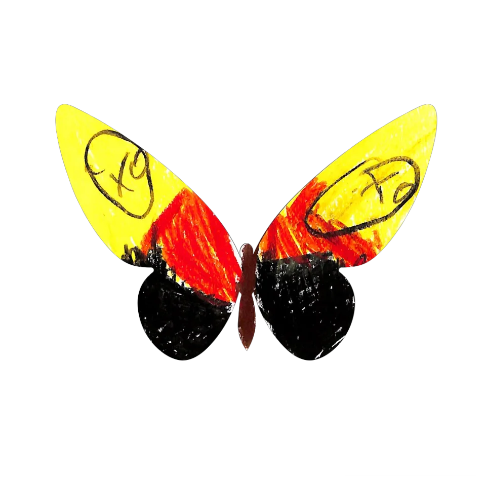 Original Butterfly Image