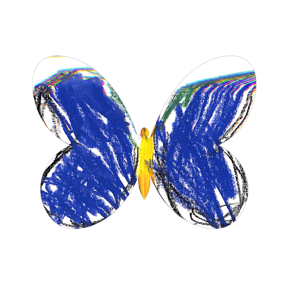 Original Butterfly Image