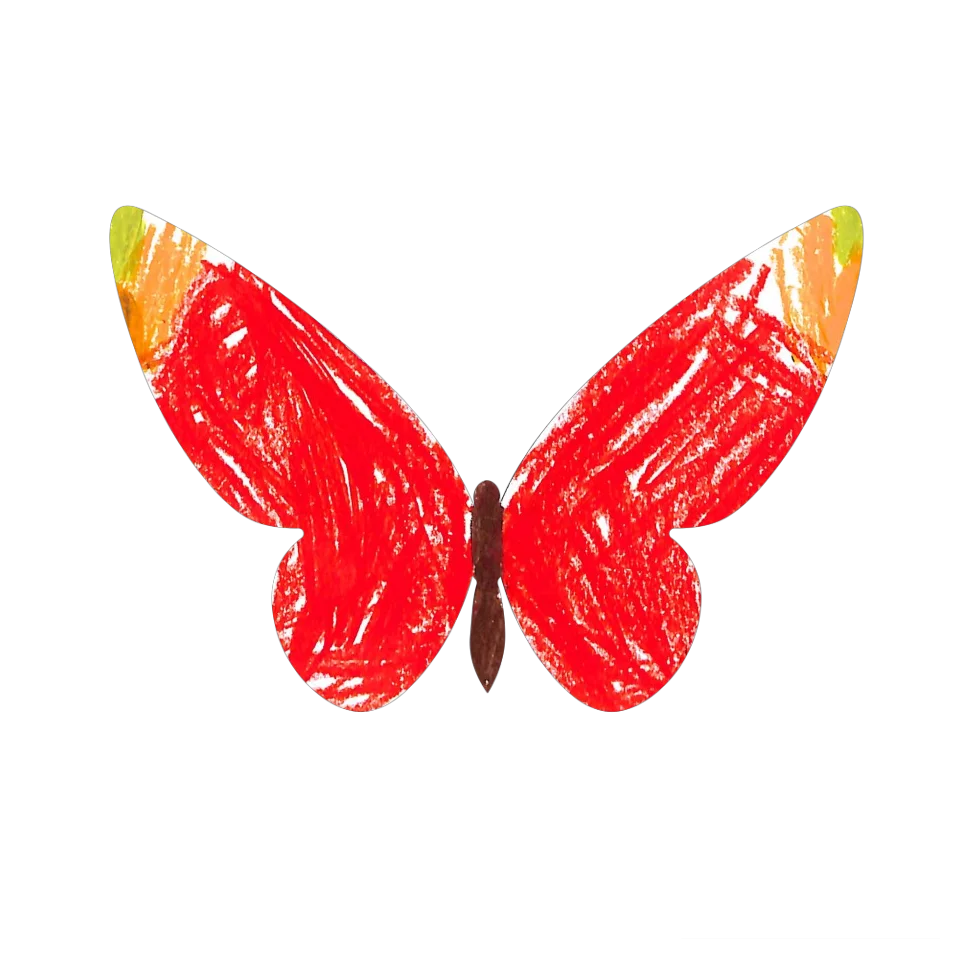 Original Butterfly Image