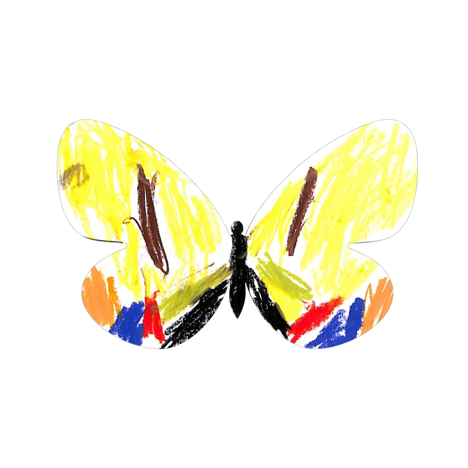 Original Butterfly Image