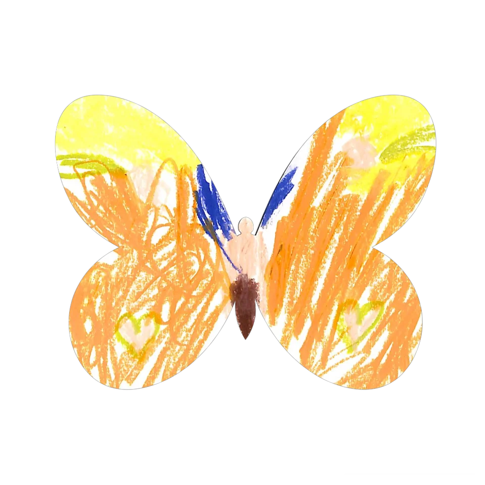 Original Butterfly Image