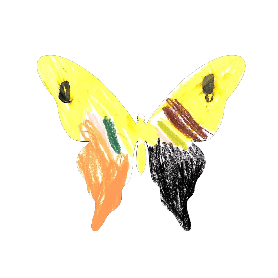 Original Butterfly Image