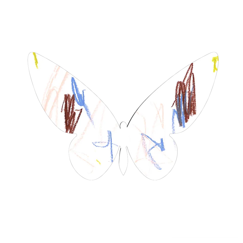 Original Butterfly Image
