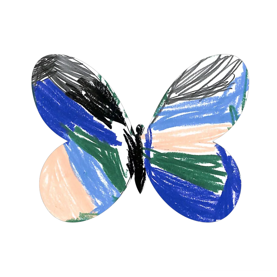 Original Butterfly Image