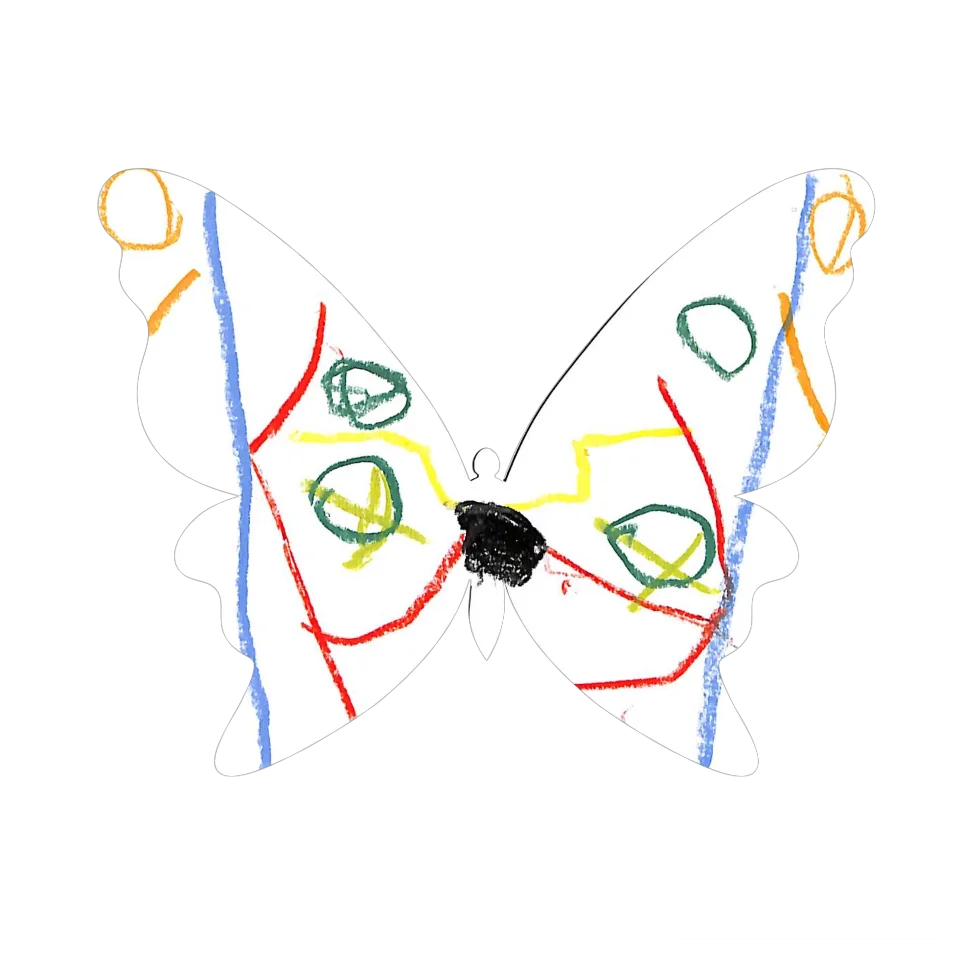 Original Butterfly Image