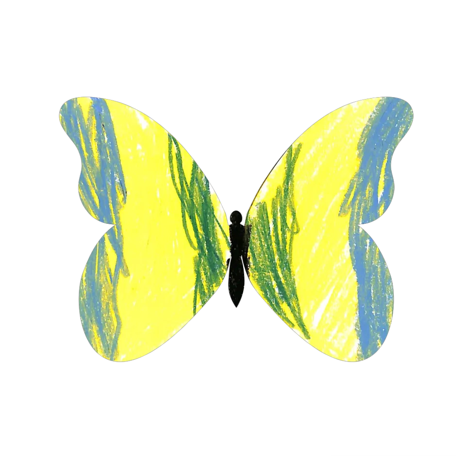 Original Butterfly Image