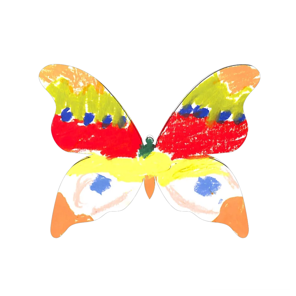 Original Butterfly Image