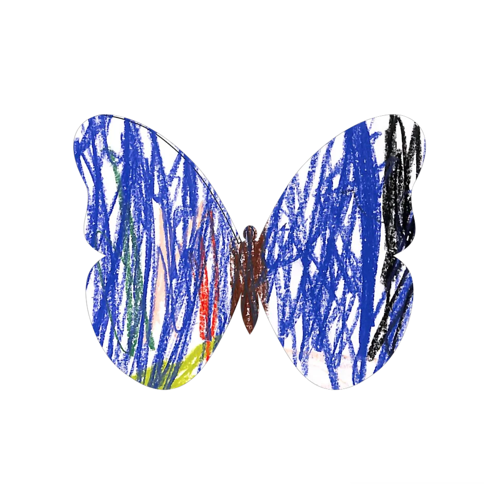 Original Butterfly Image