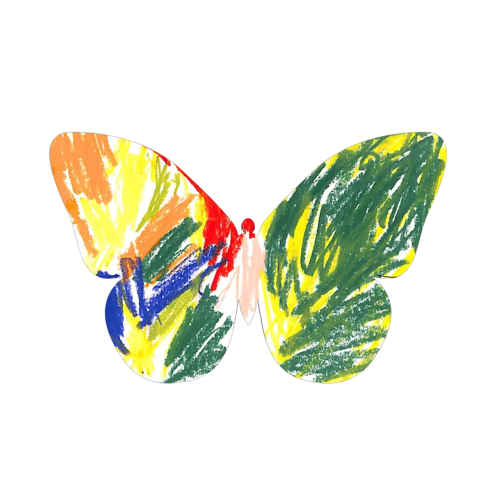 Original Butterfly Image