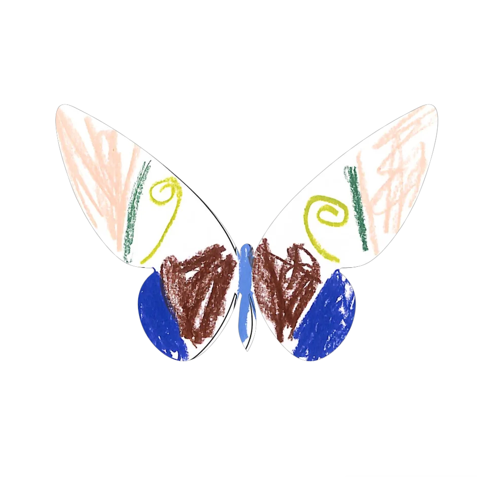 Original Butterfly Image