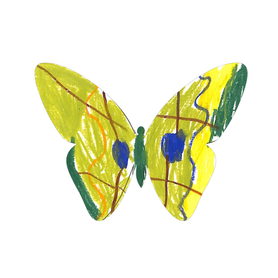Original Butterfly Image