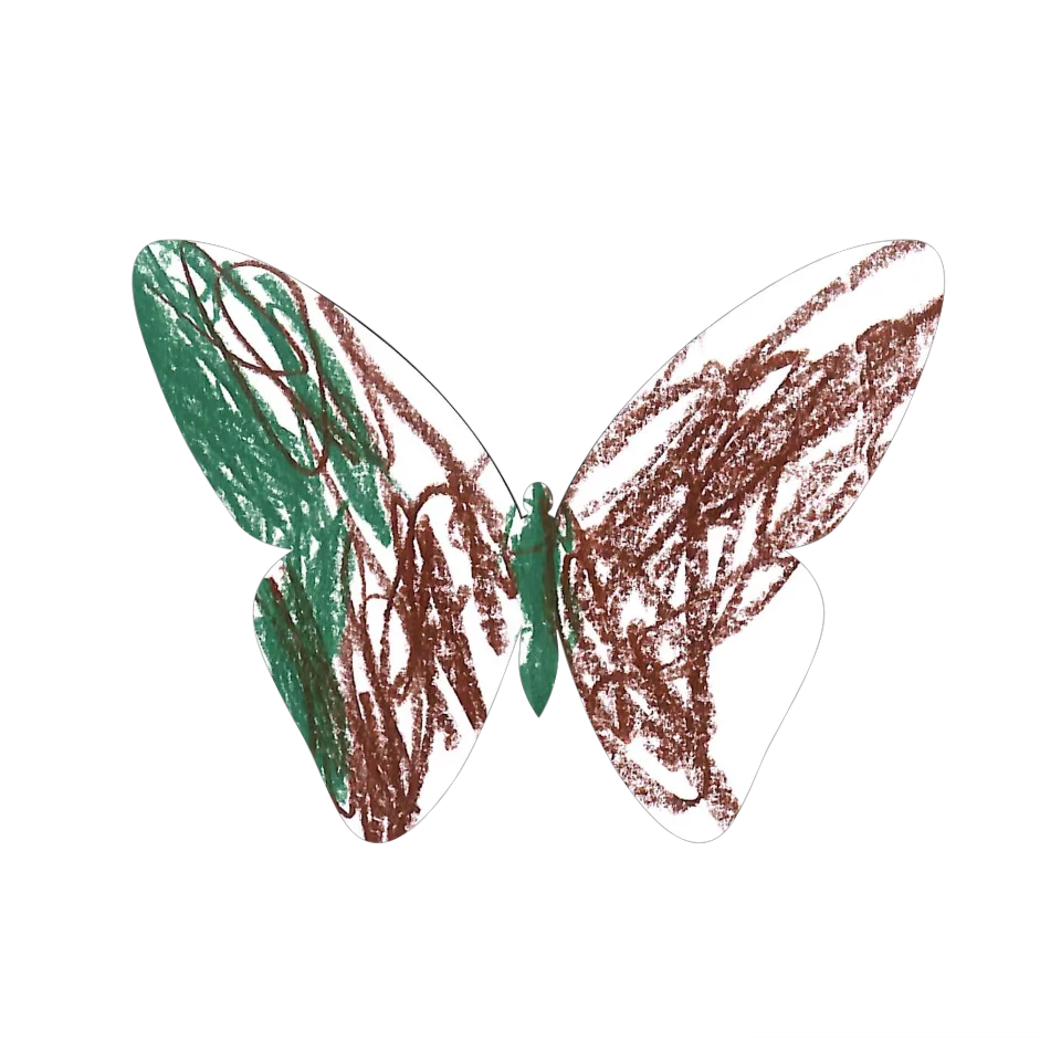 Original Butterfly Image