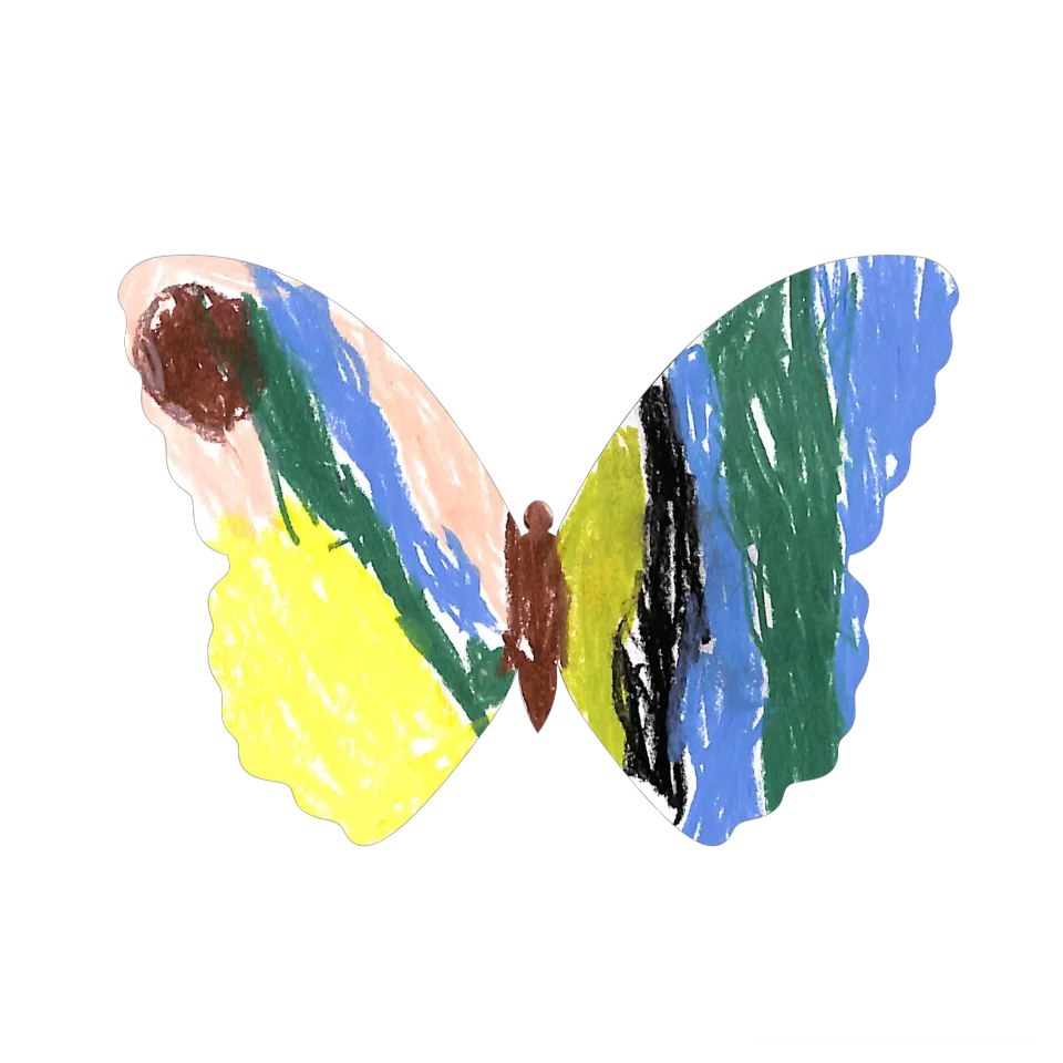 Original Butterfly Image