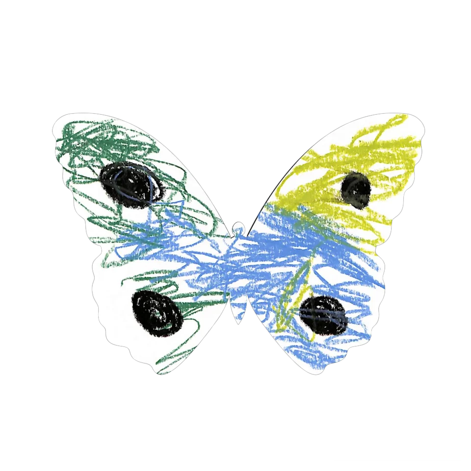 Original Butterfly Image