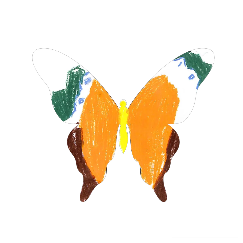 Original Butterfly Image