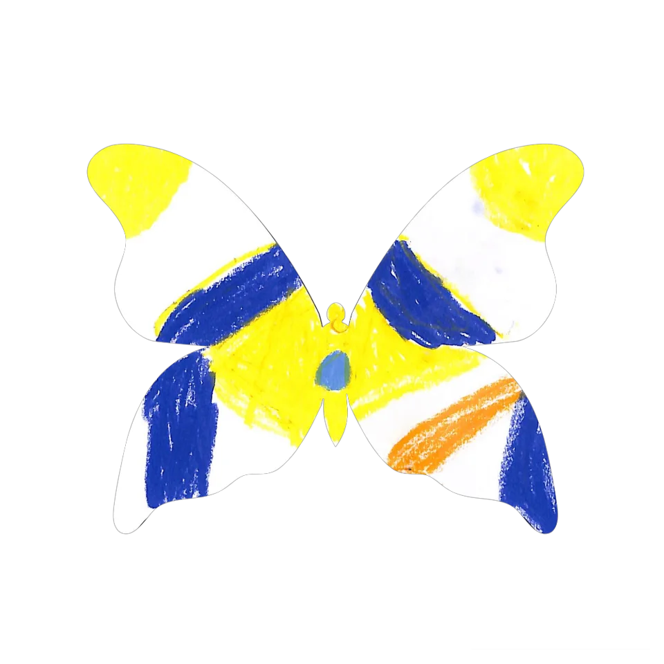 Original Butterfly Image